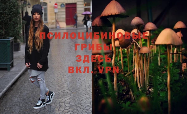 мдпв Володарск