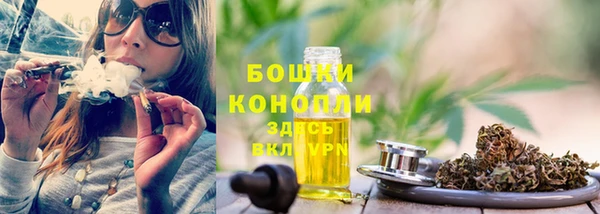 молекула духа Волоколамск